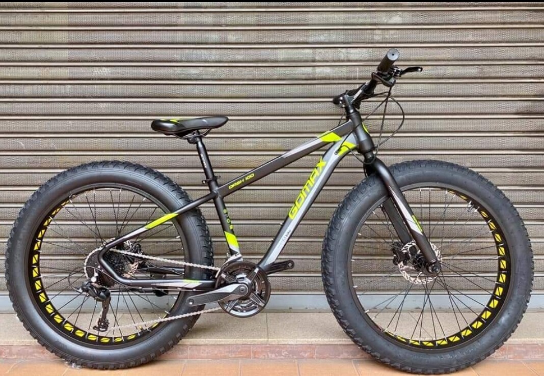 Mankani 2024 fat bike