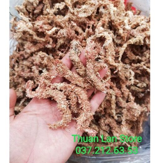 Rêu Sâu Chile Cao Cấp Giữ Ẩm Tốt gói 50g