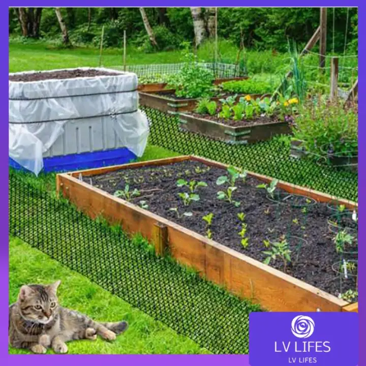 plastic spikes to deter cats