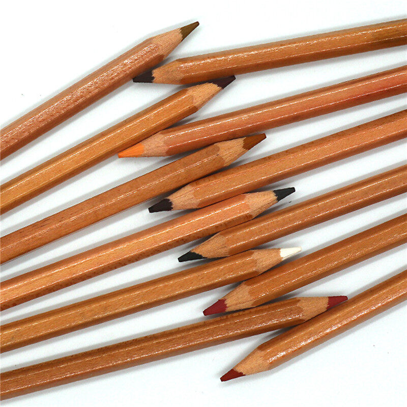Sketch Drawing Pencils 12 Piece Professional Pencils Set Charcoal Pencils Shading  Pencils For Adults
