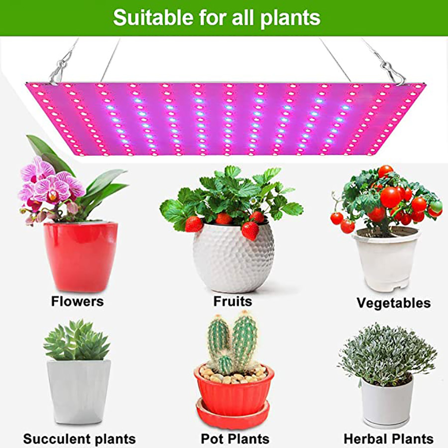 1000W Grow Light Led Full Spectrum Lamp Led Plant Light Bulb ...