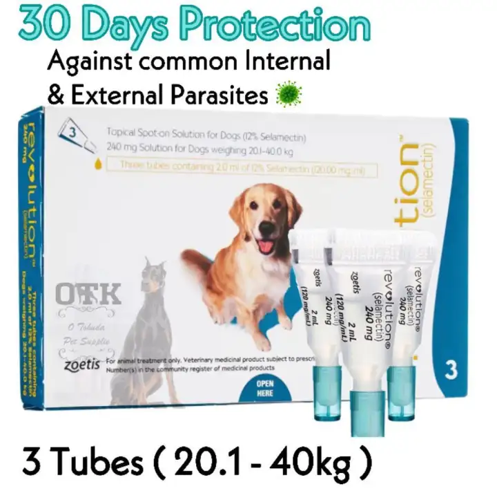 large dog revolution