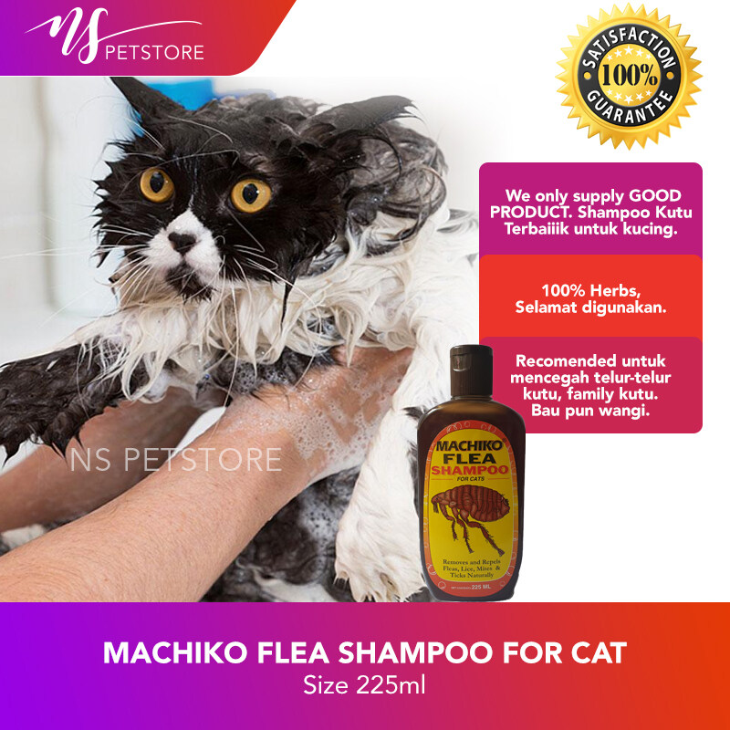 Machiko shampoo 2024