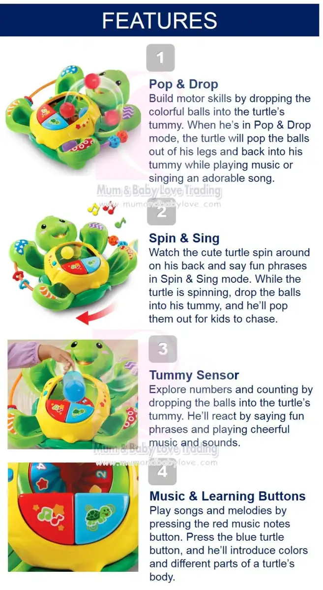 rock and pop turtle