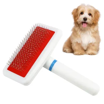 puppy brush