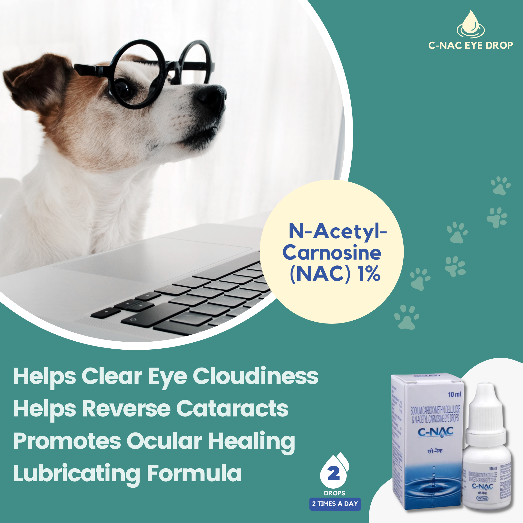 K9 C-Nac Dog Eye Drops (Dog Cataract Eye Drops with N