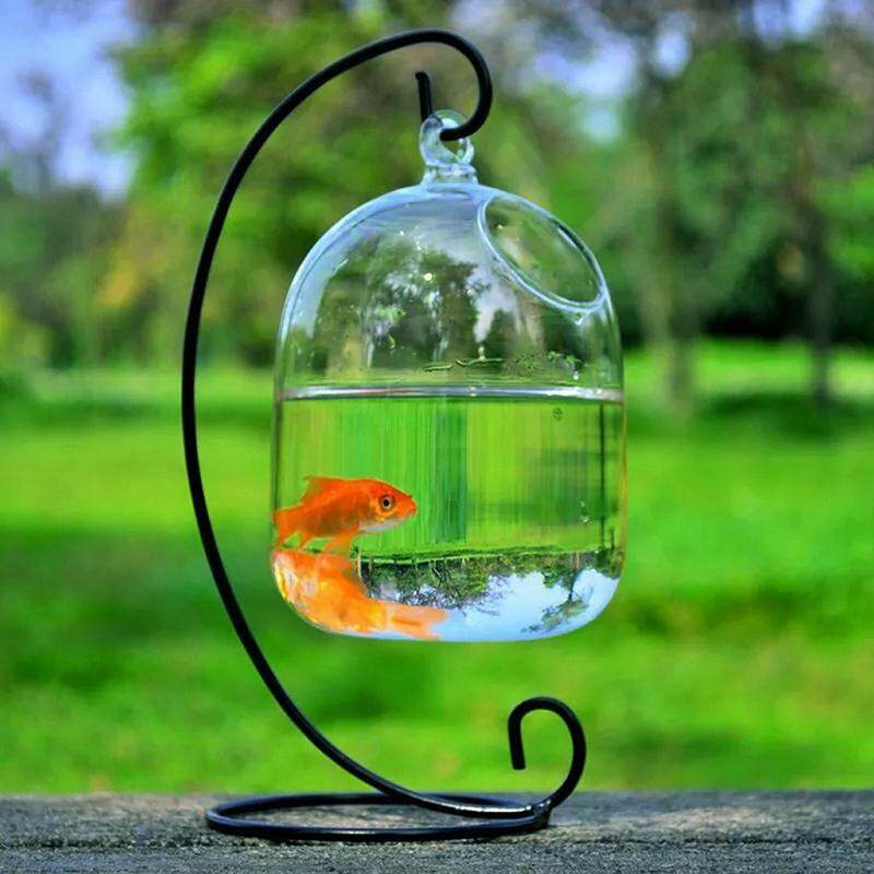 MEIK Hydroponic Wall Hanging Bubble Aquarium Fish Glass DIY Pot Vase