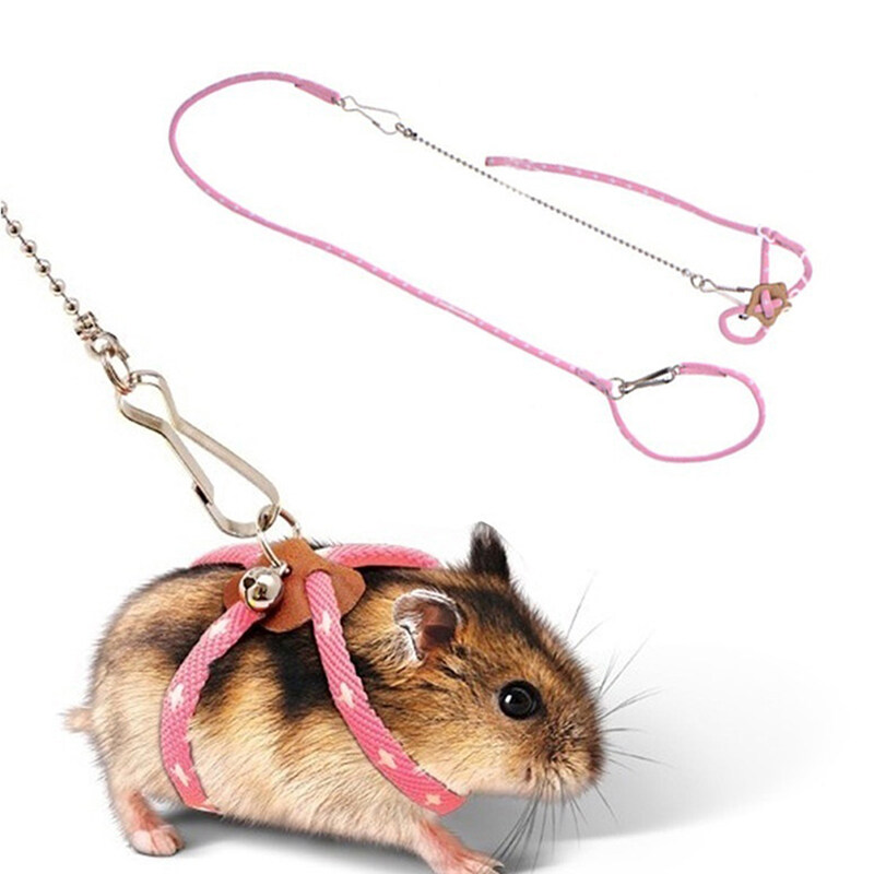 QB Adjustable Small Pet Hamster Leash Harness Set With Bells Ferrets Traction Rope AIjias Home
