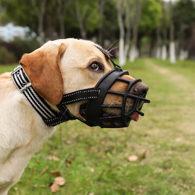rubber dog muzzle