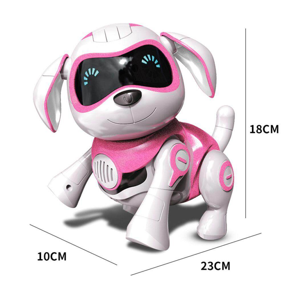 robot dog dance