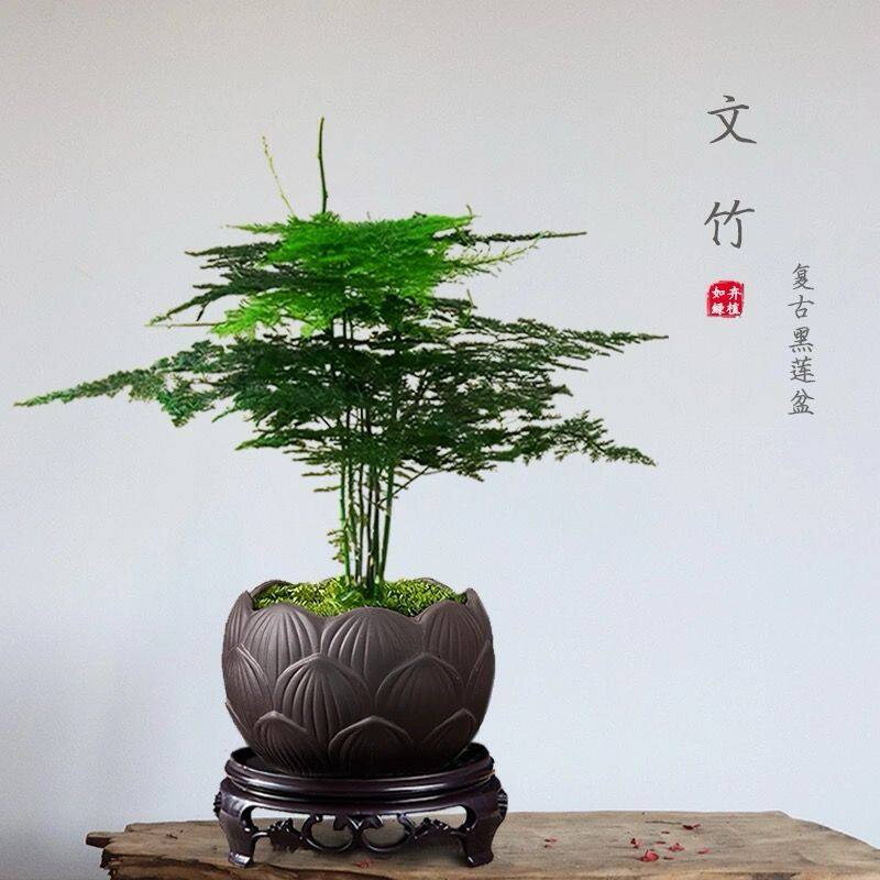Small Purple Sand Pot. Bonsai Pot.👍💯紫砂陶瓷小花盆有孔花钵绿植