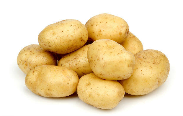 Ubi Kentang / Potato 马铃薯 /山东土豆 [READY STOCK] [1 KG