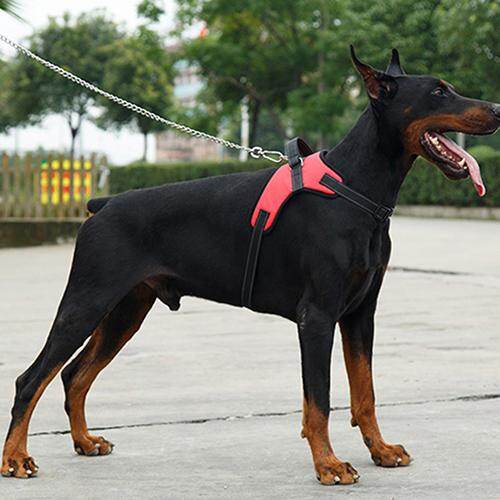 zhikeng® Large Dog Harness Soft Adjustable Training Harness Pet Walk Out Hand Strap Vest