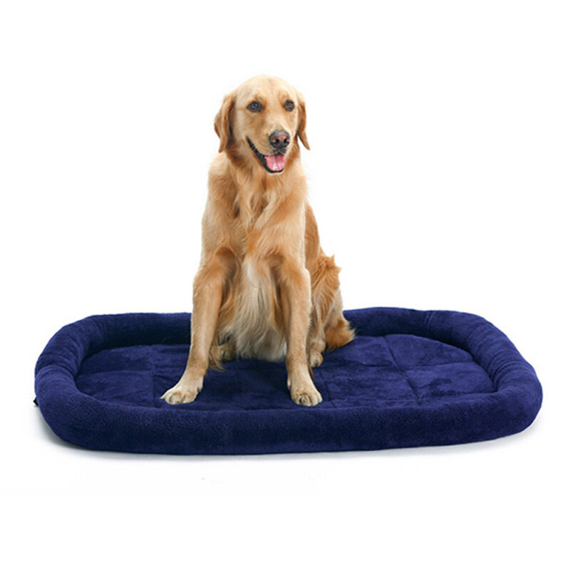 Ổ Ngủ Cho Thú Cưng Đệm Mềm Cho Chó Teddy Golden Retriever