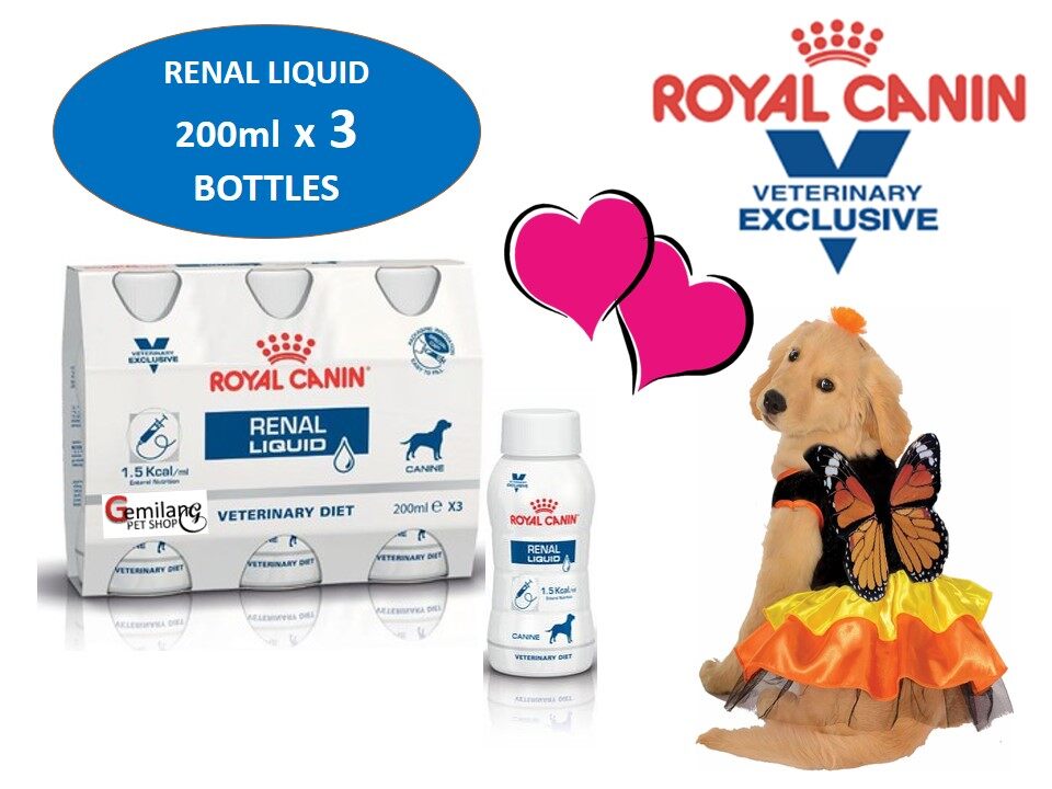 renal liquid dog