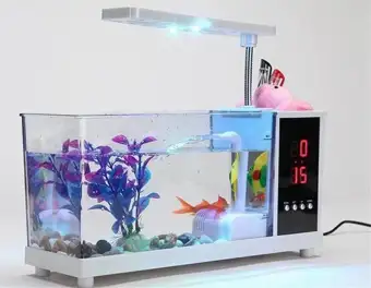 aquarium mini lazada