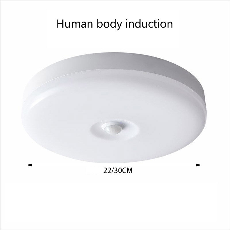 LED ceiling light human body sensor/voice sensor three-proof light aisle light stair corridor light