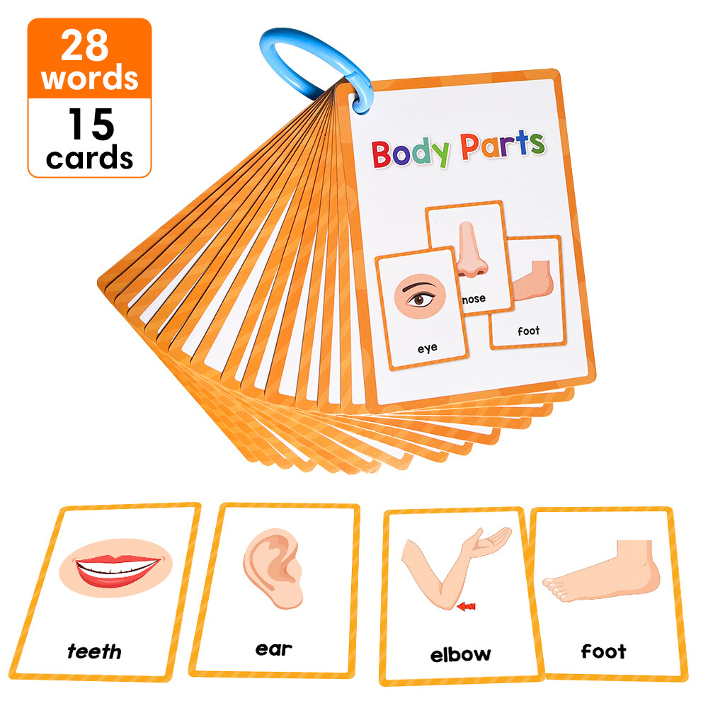 15PCS Body Part Flash Cards for Kids Learn about The Body Vocabulary  English Words Home School Learning Cognitive Activity Flashcards Pocket  Cards Montessori Educational Toy for Kids Toddlers Children Gi