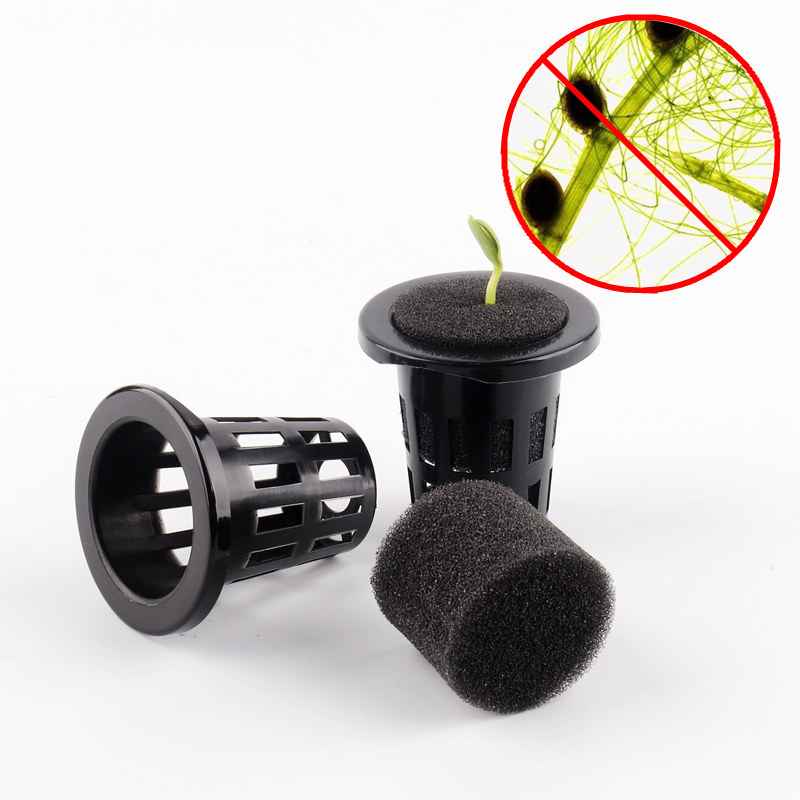 10 Miếng Bọt Biển Nảy Mầm Aquaponic Tròn Miếng Bọt Biển Nảy Mầm Thủy Canh Miếng Bọt Biển Tạo Rễ Hydroponik Netpot