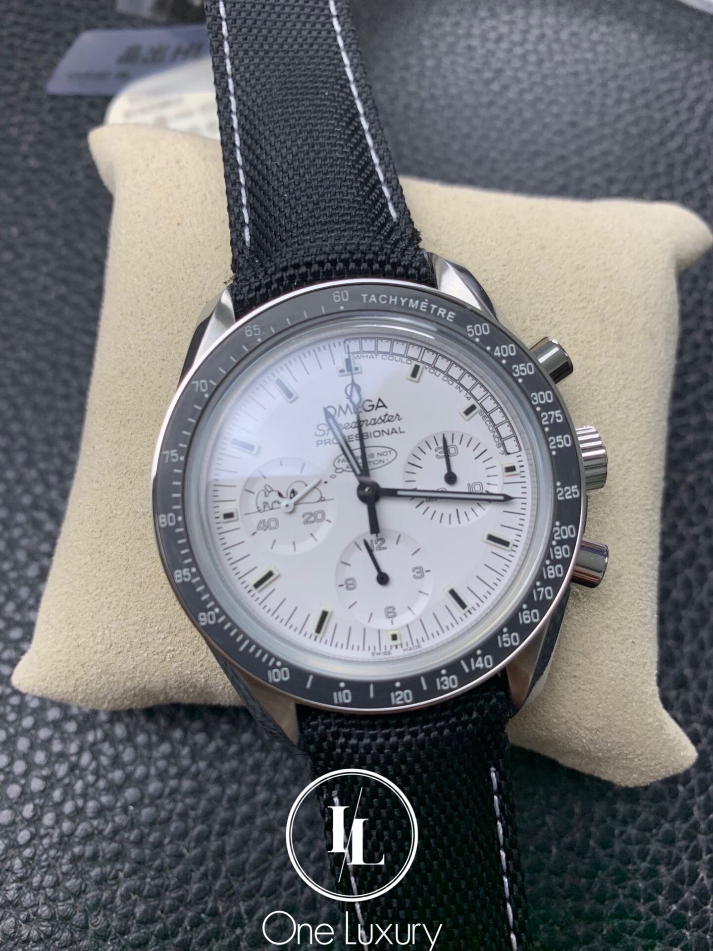 moonwatch apollo 13