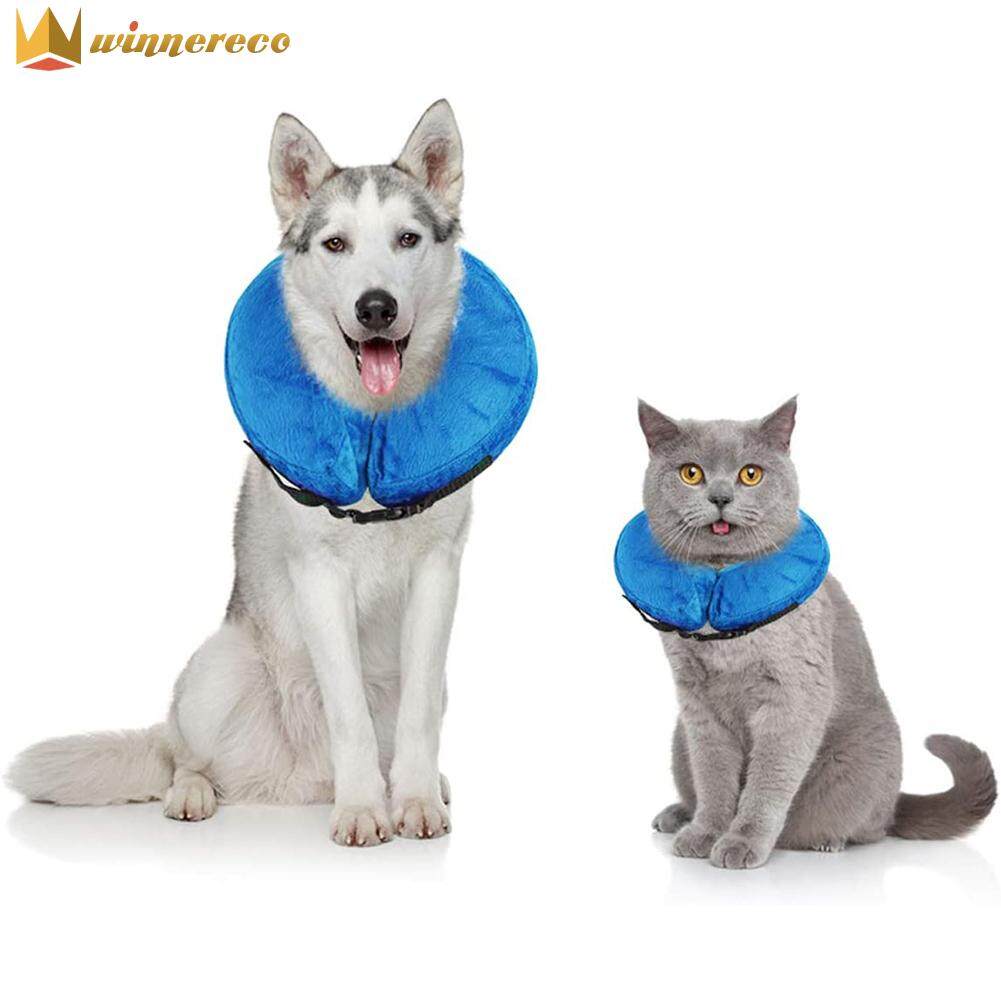 Vòng Cổ Bơm Hơi Cho Mèo Hình Nón Cổ Chó Có Thể Điều Chỉnh Đồ Dùng Phục Hồi
