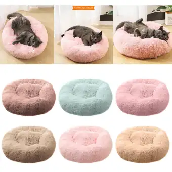 cat bed lazada