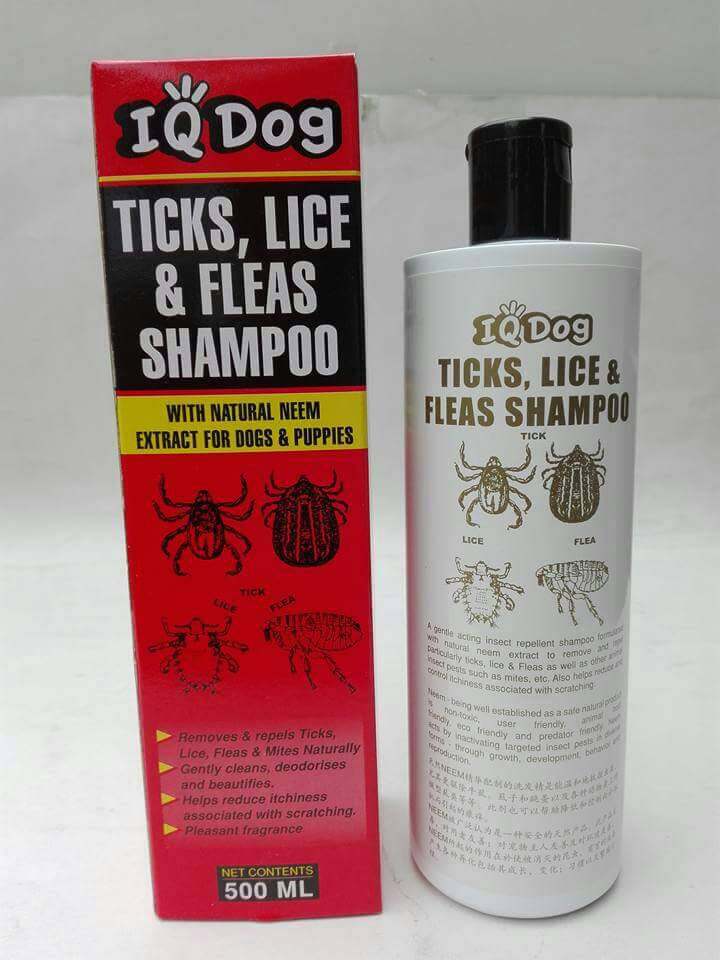 IQ Dog Ticks Lice and Fleas Shampoo 500ml Lazada