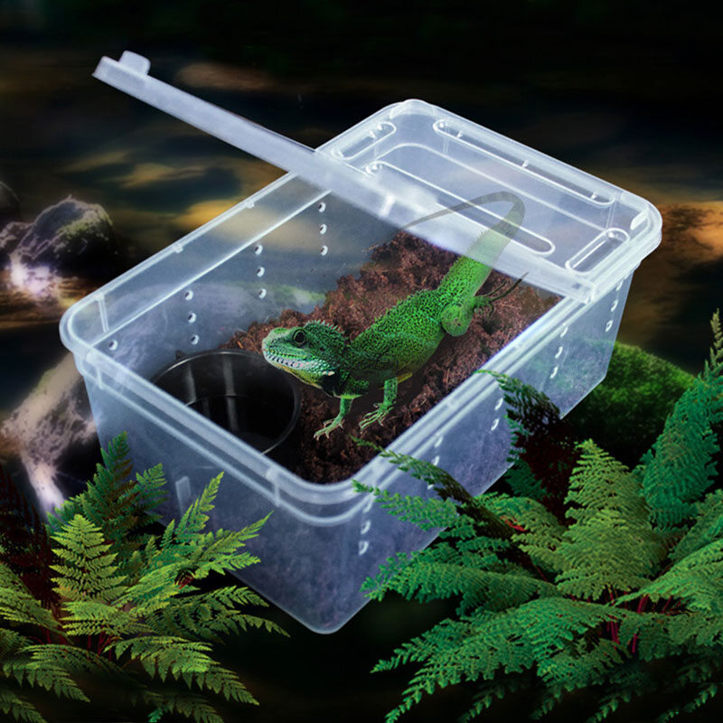 Transparent Plastic Box Insect tile Transport Breeding Live Food Feeding Box