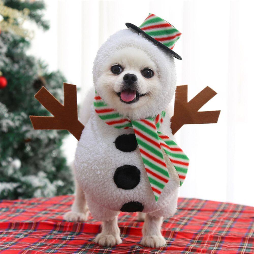 male dog christmas outfit