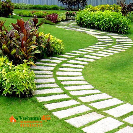 Cây cỏ nhật - Cỏ nhung nhật - cỏ lông heo (1 cuộn 0.5m2)