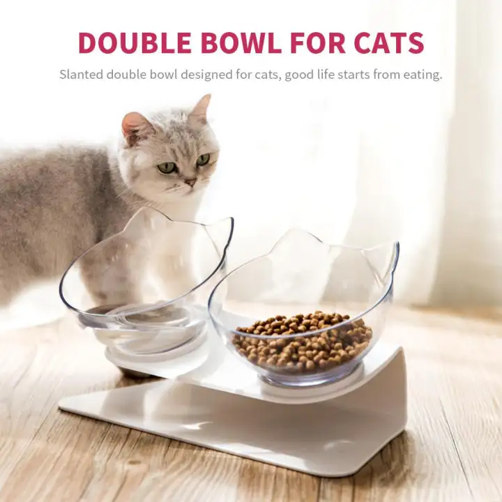 cat food dishes