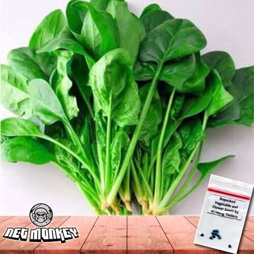 Buto ng mga gulay ng spinach kulitis ng Tsina Lazada PH