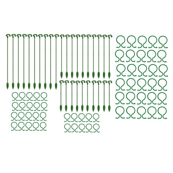 30Pcs Plant Support Stakes Single Stem Plant Support Stakes Amaryllis Plant Cage Support Rings for Indoor Plants