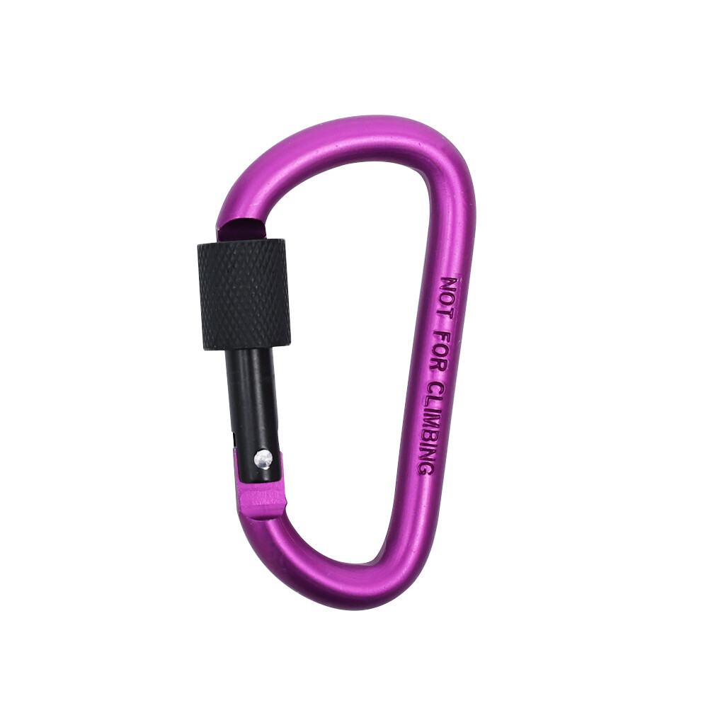 Outdoor Climbing Aluminium Alloy D Shape Buckle Carabiner Survial Key Chain Camping Climb Hook Clip Backpack Buckle Keychain