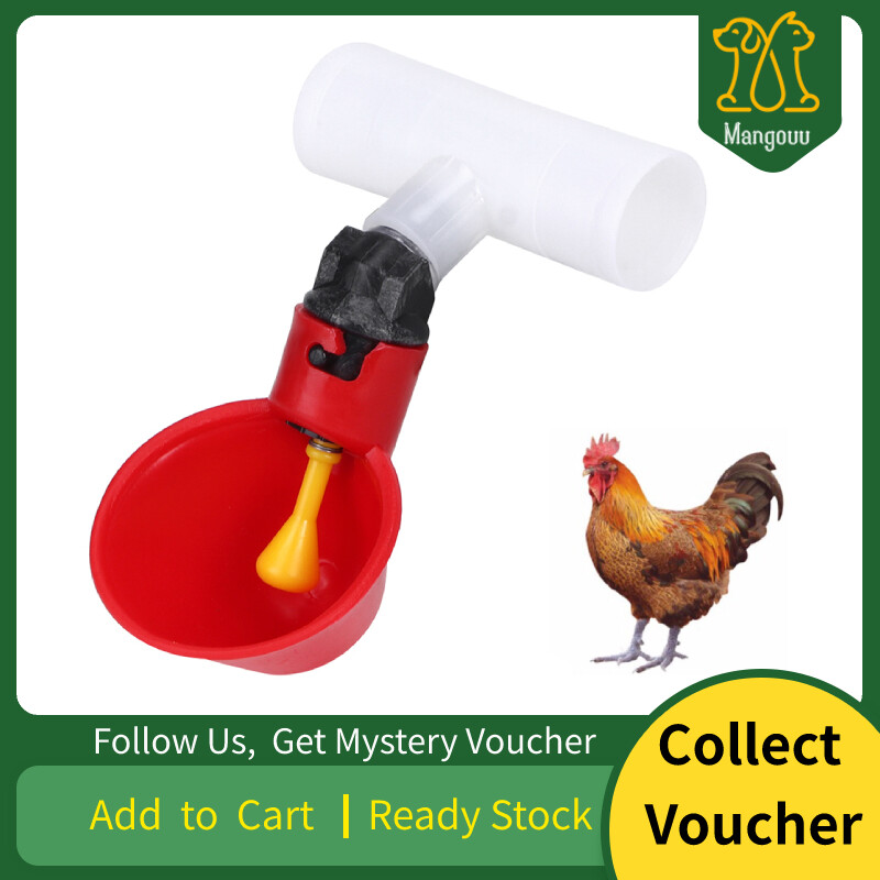 【Dream】10Pcs Chicken Automatic Drinker Waterer Water Bowl Drinking Water Tool Cage Accessories