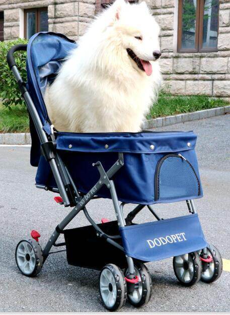 wheeled pet carrier for large dogs