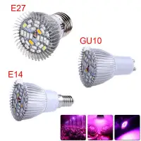 E14 Grow Light Best Price In Singapore Lazada Sg