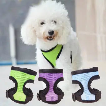rope dog harness