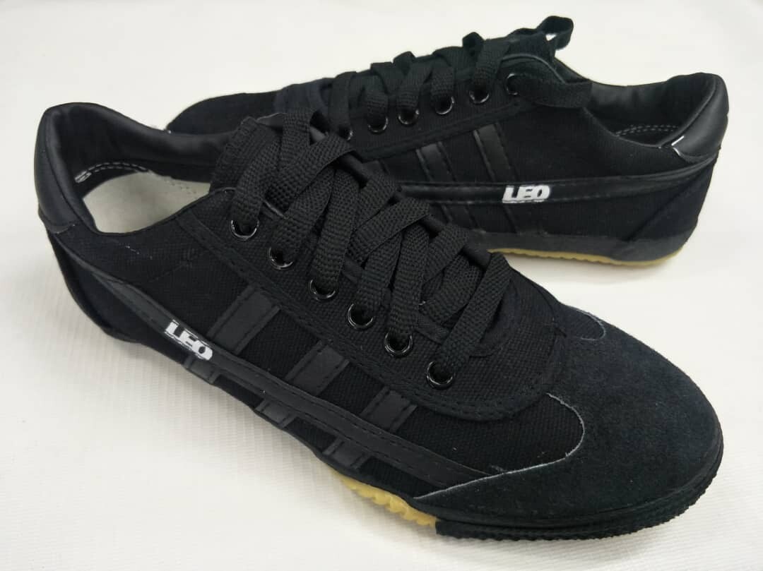 leo futsal shoes