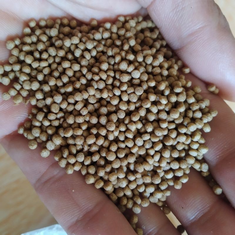 1kg Cám cá American feeds, siêu đạm dành cho cá Koi, cá vàng