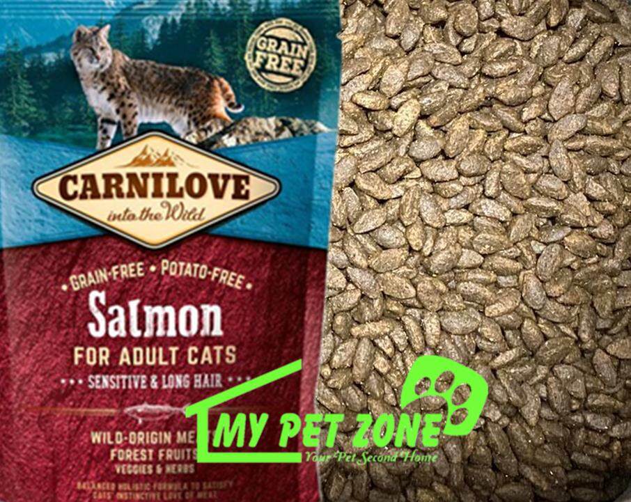 carnilove salmon cat