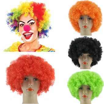 Pickmine Curly Afro Fancy Dress Wig Funky Disco Clown Style Men