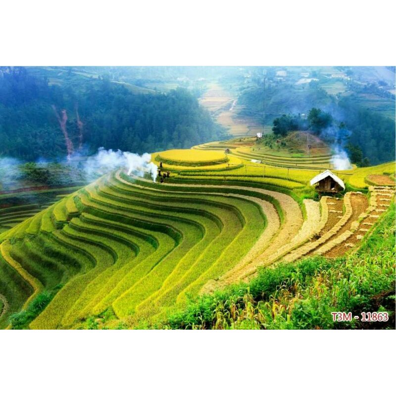 Tranh ruộng bậc thang in vải lụa KT ngang 1.25m*0.8m