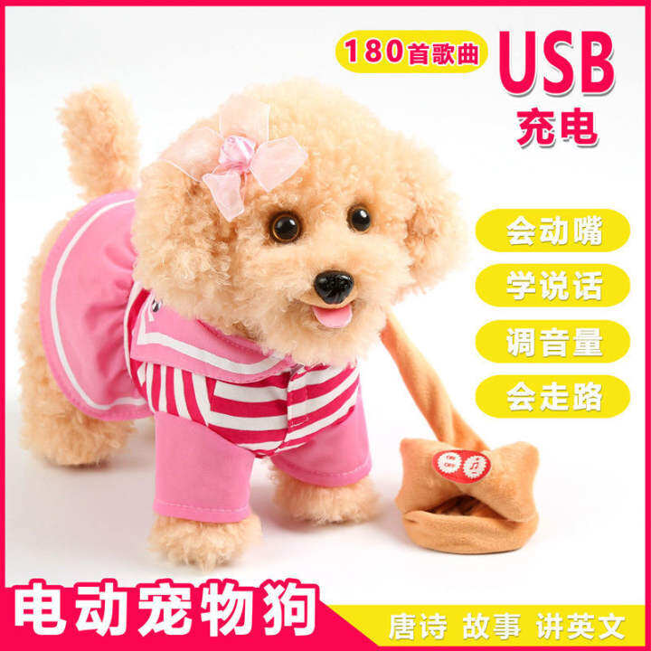 children's toy dog on lead