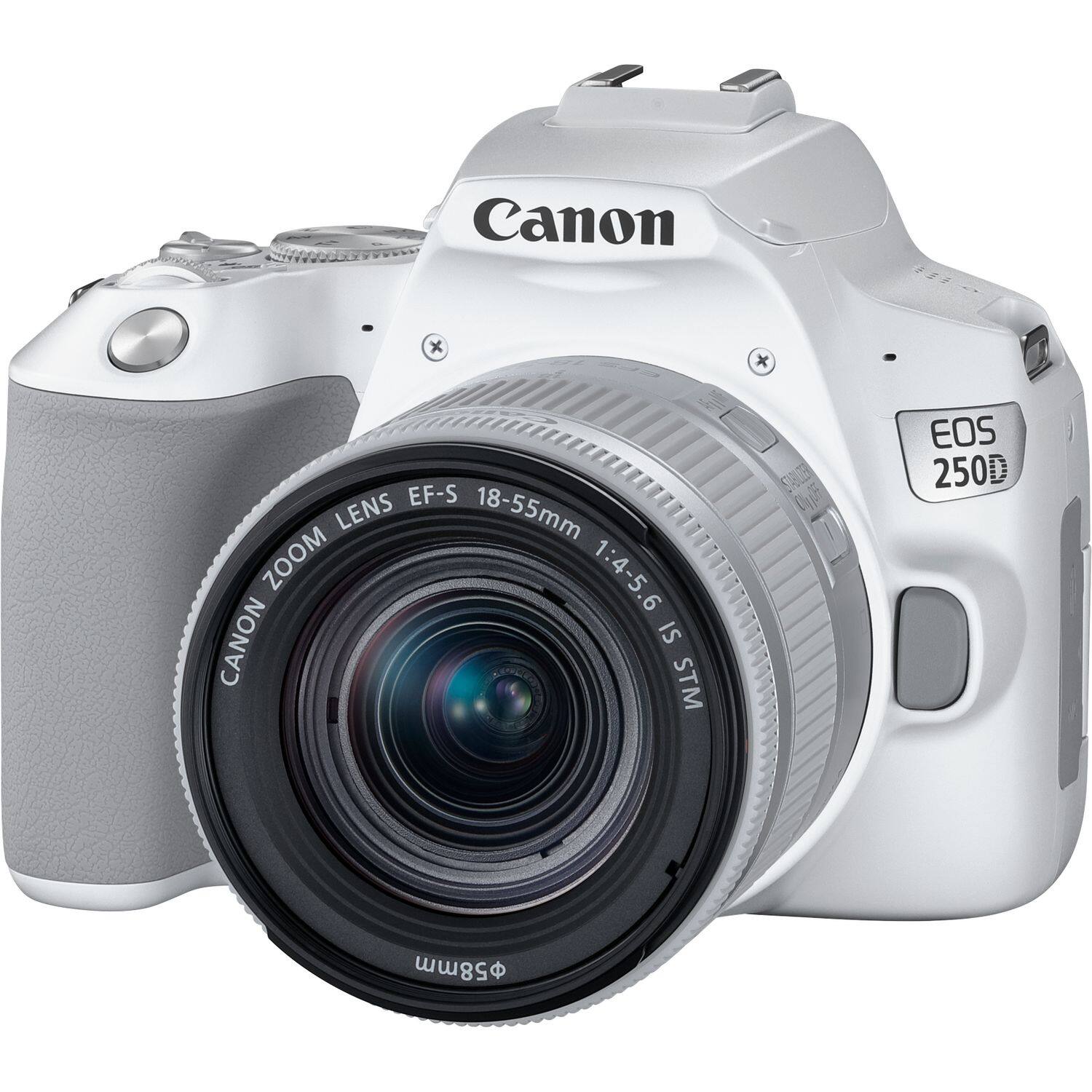 canon 250d mark ii