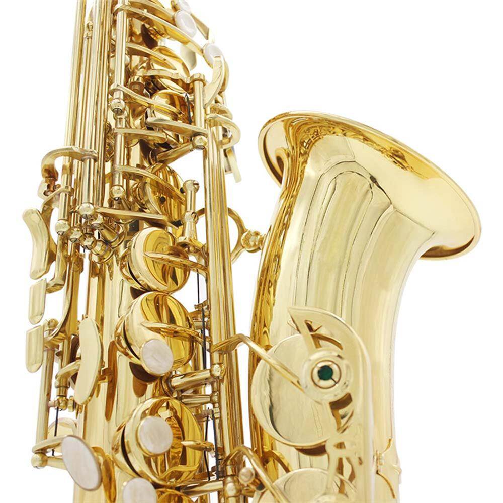 Brass Eb Alto Saxophone Lacquered Gold Woodwind Instrument Sets - TOPBK ...