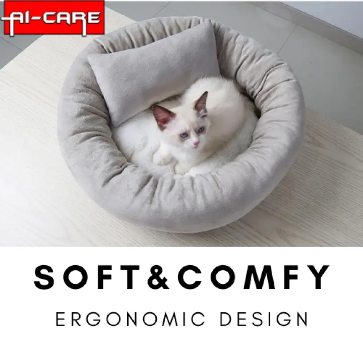 cat bed lazada