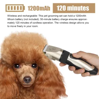 grooming machine dog