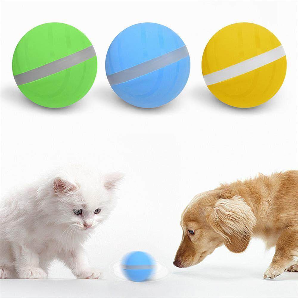 magic rolling ball for dogs