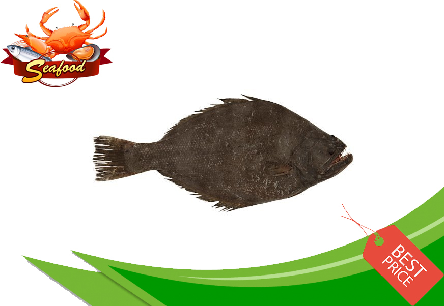 Ikan Sebelah Sole 1kg Pkt Lazada